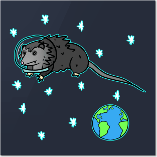 SPACE OPOSSUM Posters and Art